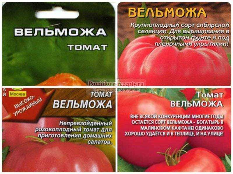 Томат земляк