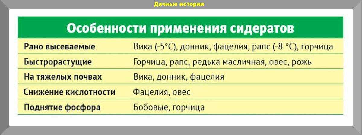 Сидераты для огурцов и помидоров: какие лучше
