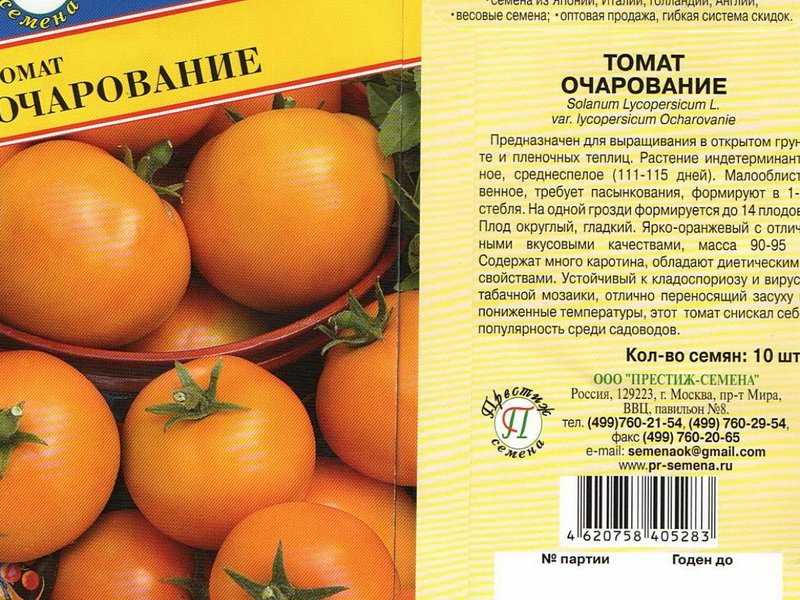 Томат дина: описание сорта, выращивание, фото, отзывы