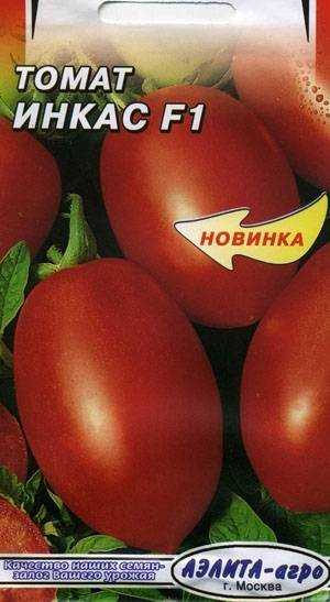 Выращивание томатов от а до я в открытом грунте