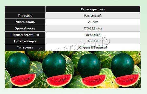 Арбуз огонек: описание сорта, фото поспевших плодов, преимущества и недостатки