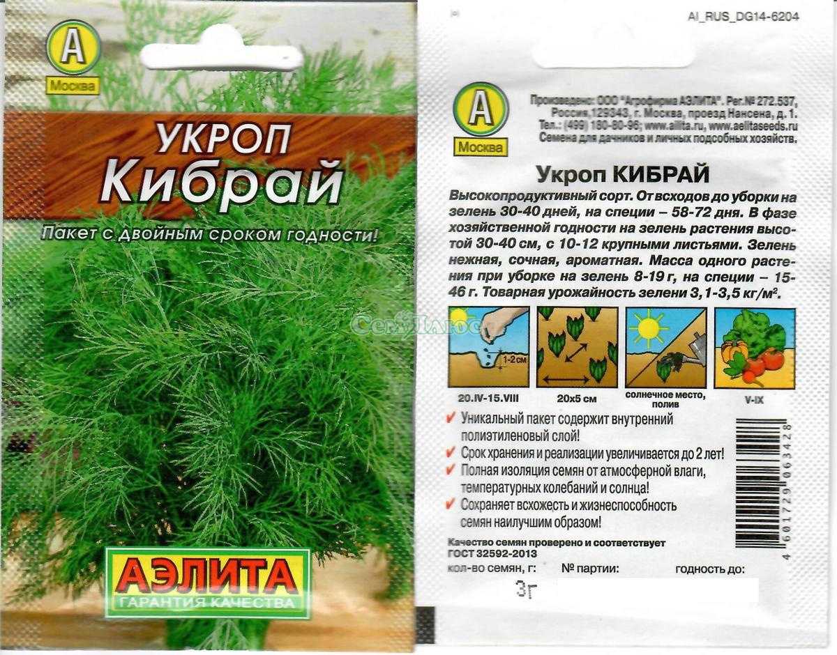 Укроп – лучшие сорта на зелень. описание. фото — ботаничка