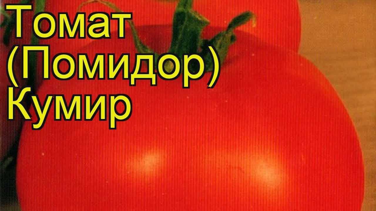 Описание томата кумир, культивирование и выращивание сорта