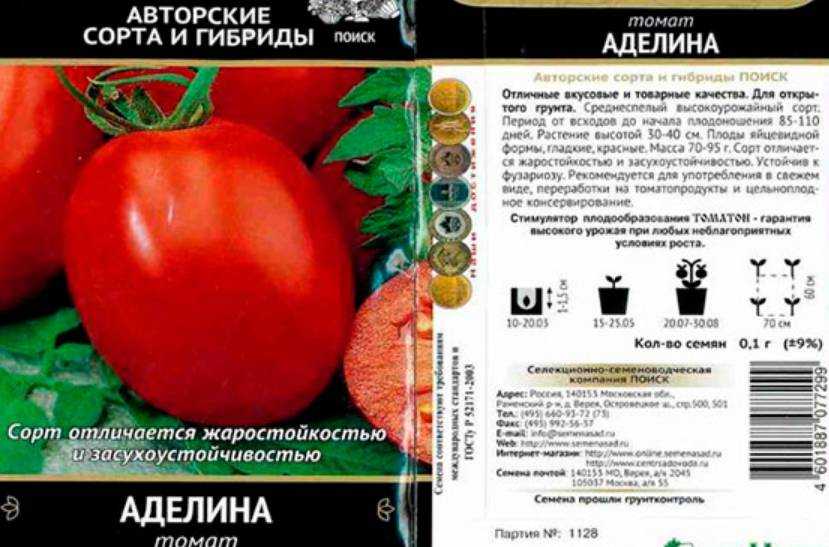 Томат аделина: описание сорта, отзывы (9), фото | tomatland.ru