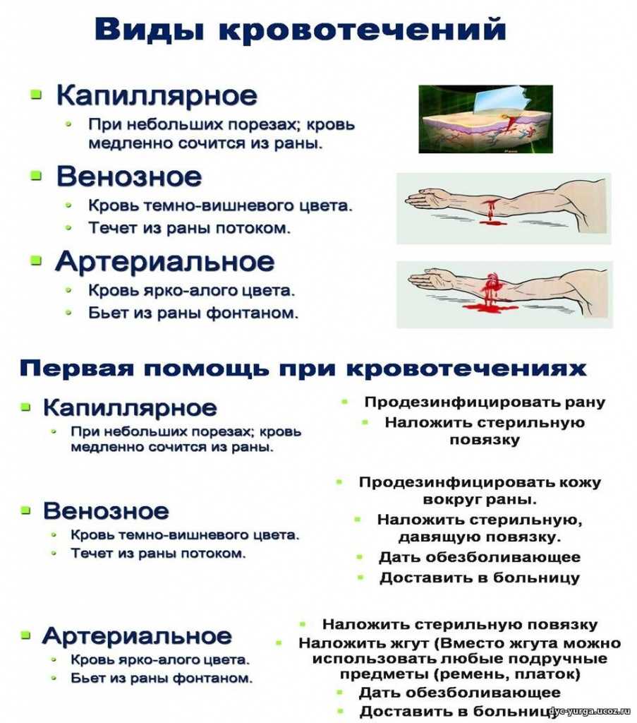 Температура, тошнота, рвота и головная боль: симптомы, причины, методы диагностики и лечения | ким
