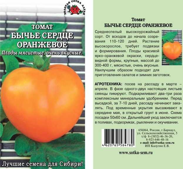 В огороде и саду