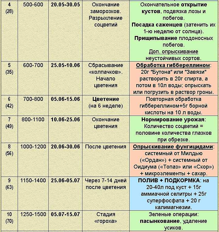 Персик — выращивание и уход