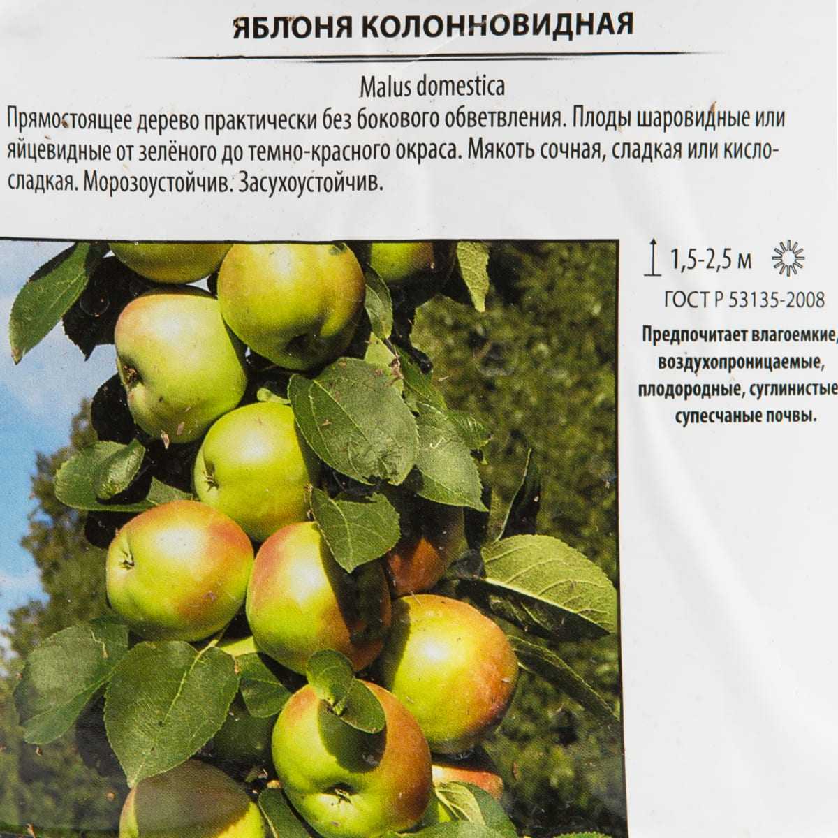 Яблоня колоновидная московское ожерелье: описание и характеристики сорта, посадка и уход