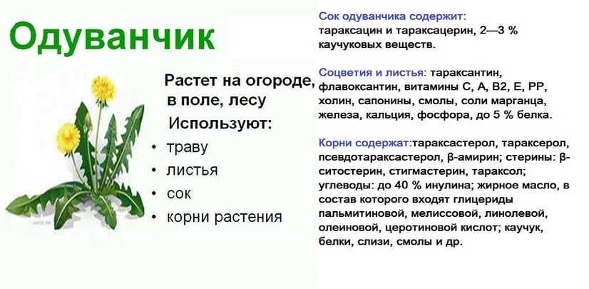 Запрещенные продукты при сахарном диабете