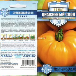 Томат оранжевый слон: характеристика и описание сорта, отзывы тех кто сажал помидоры об их урожайности, фото семян