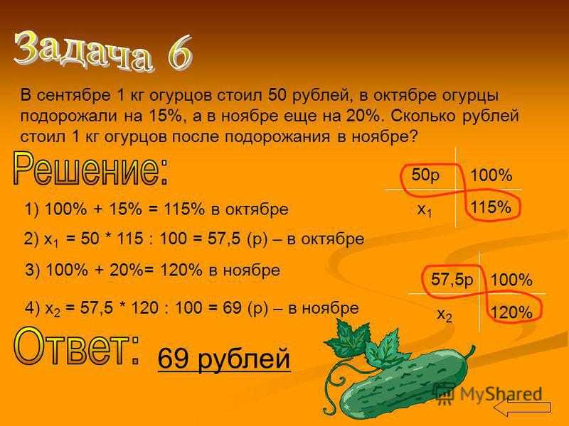Выращивание лука из семян за один сезон в домашних условиях