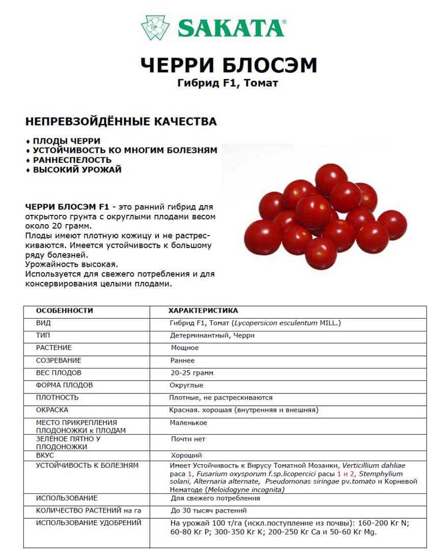 Лучшие сорта томатов черри - топ 15🍅, характеристика и описание, фото, урожайность, достоинства