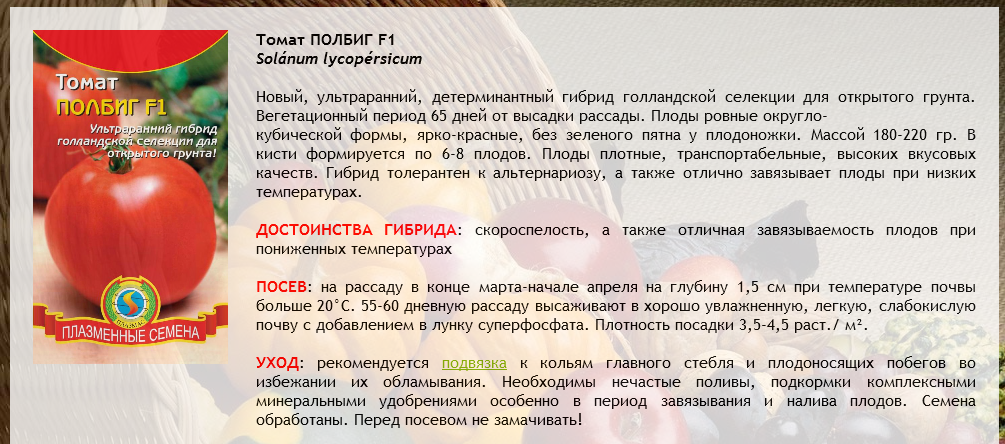 Томат полбиг: характеристика и описание сорта, урожайность с фото куста