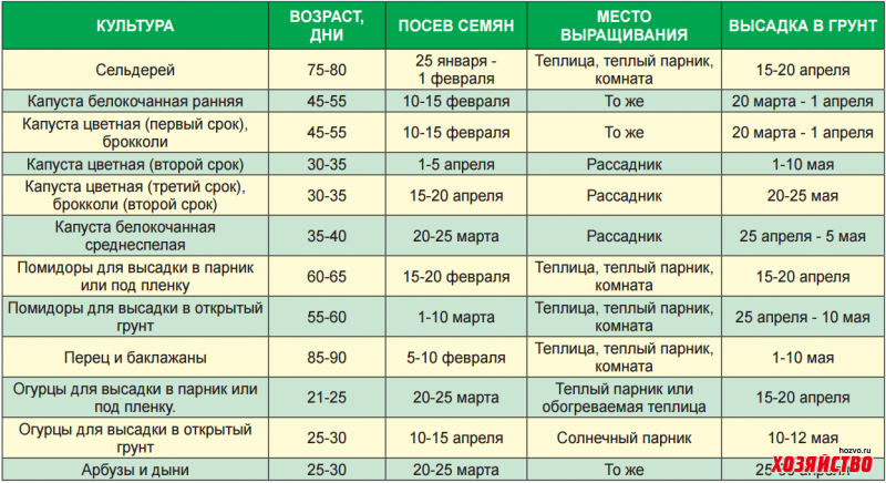 Огурцы для ленинградской области сорта самоопыляемые ранние 2021