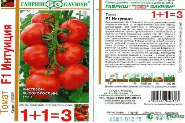 Томат Интуиция: характеристика и описание сорта, отзывы дачников + фото, урожайность, посадка и уход за культурой