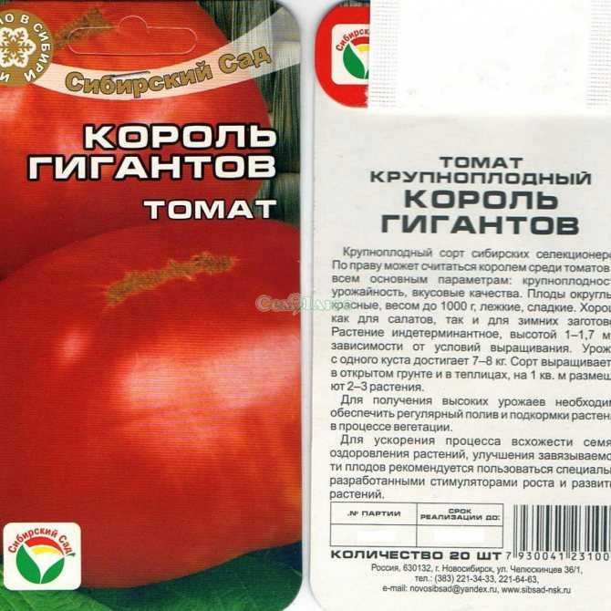 Сорт томата король королей - описание, посадка и выращивание
