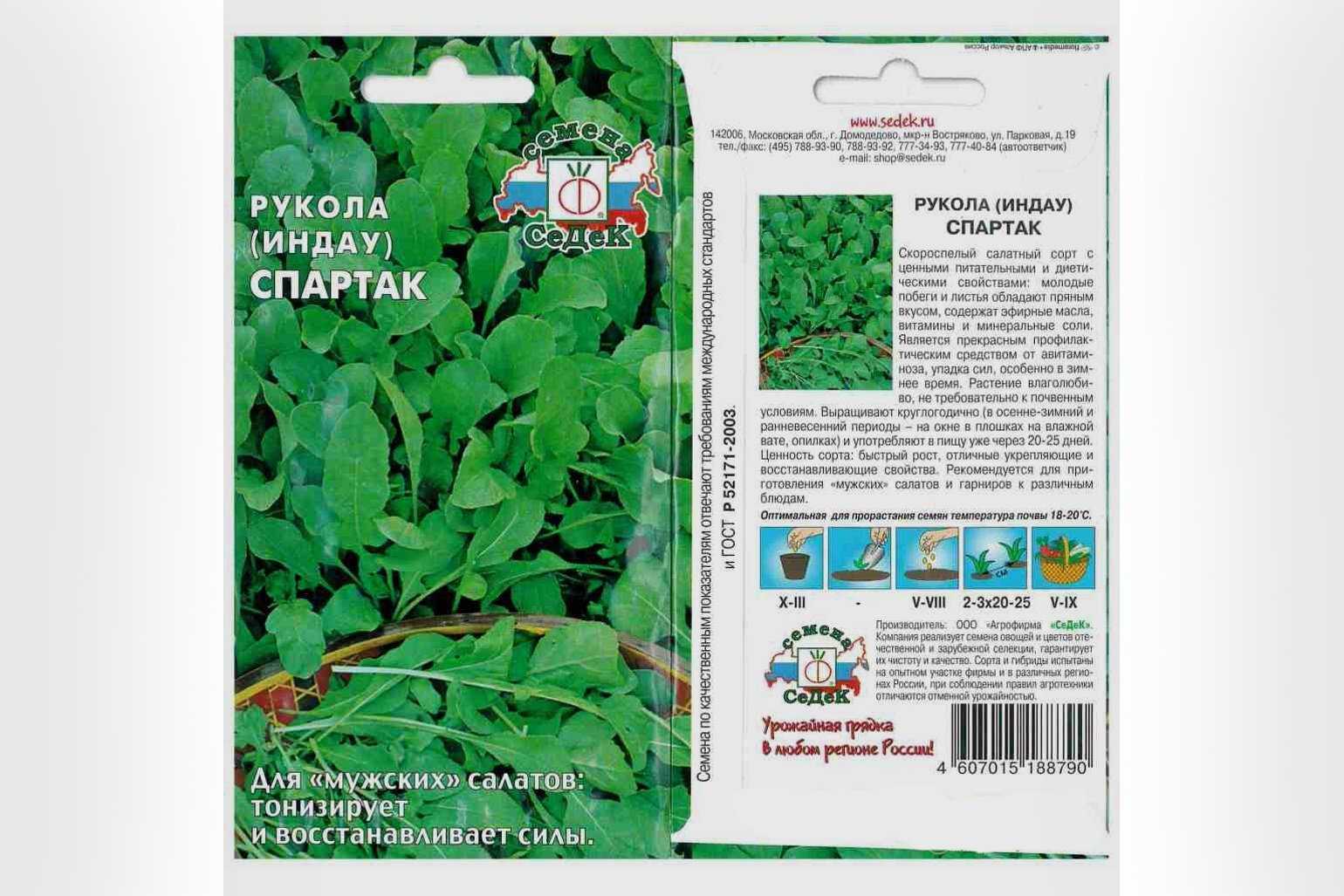 Почему руккола горькая: что делать — русский завтрак