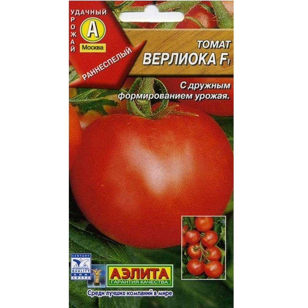 Томат верлиока: характеристика и описание сорта, посадка и уход + фото