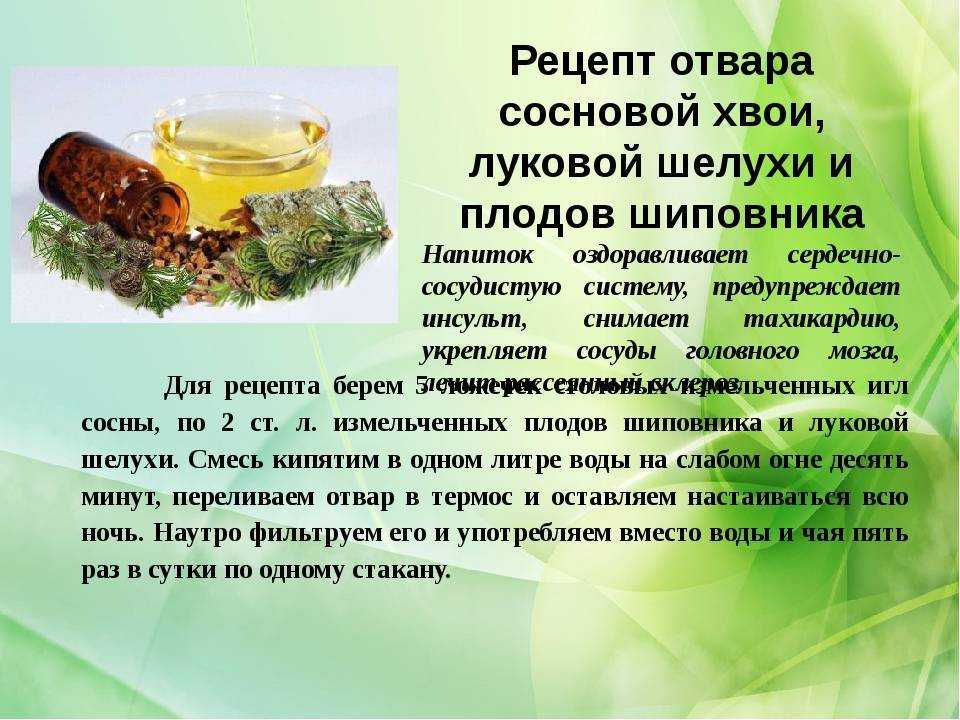 Польза черной редьки – почему стоит включить в рацион?