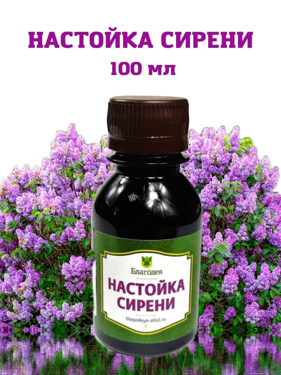 Настойка из цветков белой сирени на водке: применение