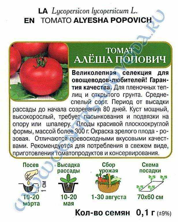 Томат алеша попович: отзывы тех кто сажал помидоры, характеристика и описание сорта, фото урожайности и видео