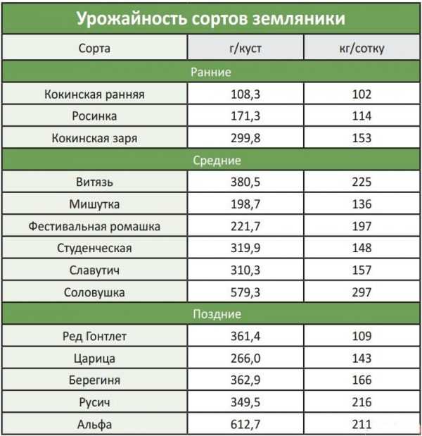 Когда обрезать клубнику после сбора урожая