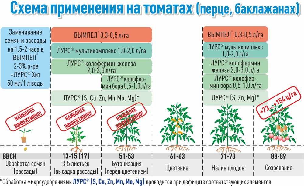 Томат ямал
