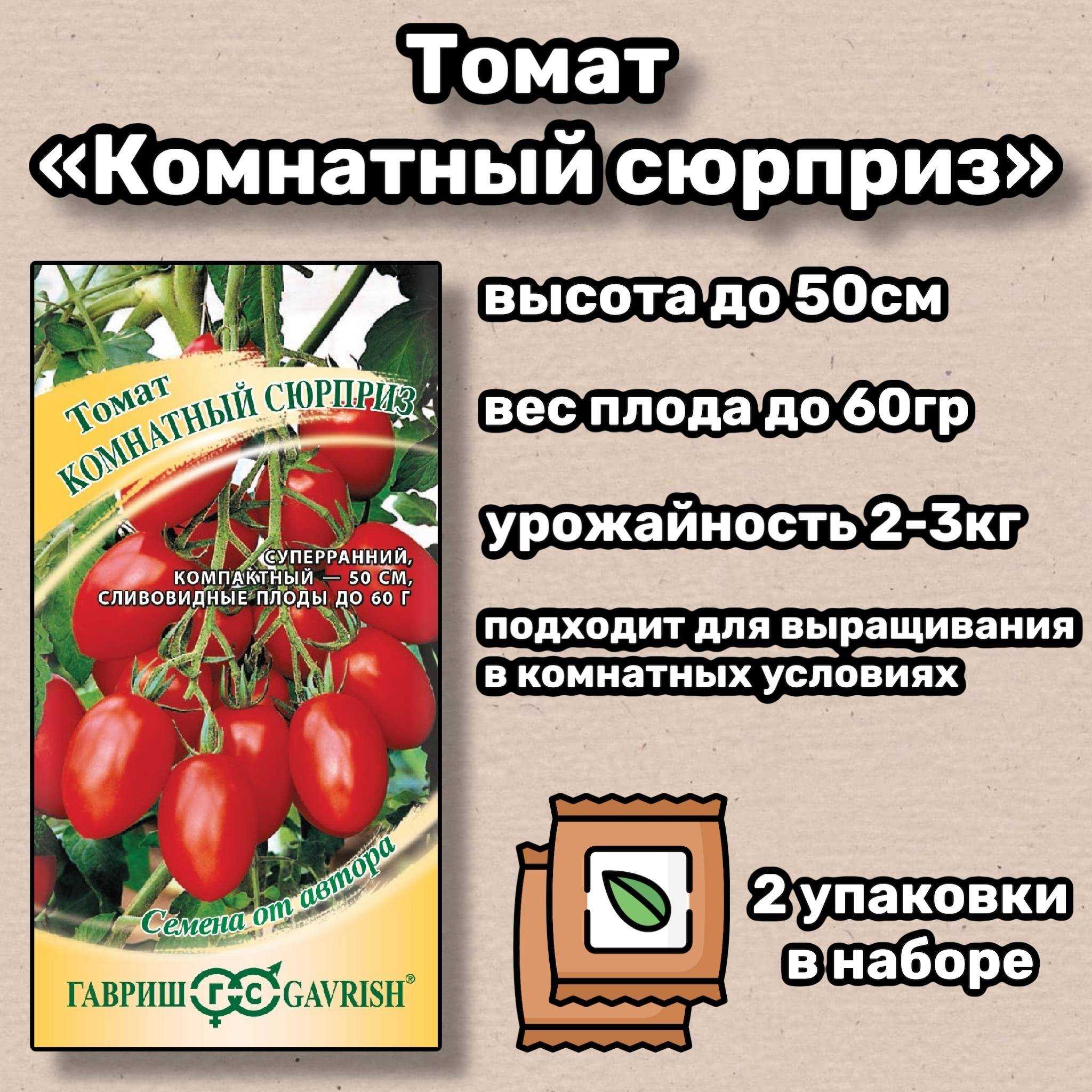 Томат Комнатный сюрприз: подробное описание сорта, характеристики, фото и отзывы дачников Плодоношение и урожайность Правила посадки, выращивание и уход