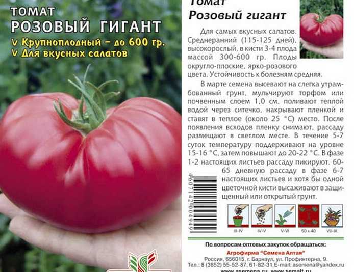 Сорт томат «уральский гигант»: высокая урожайность у каждого на грядке