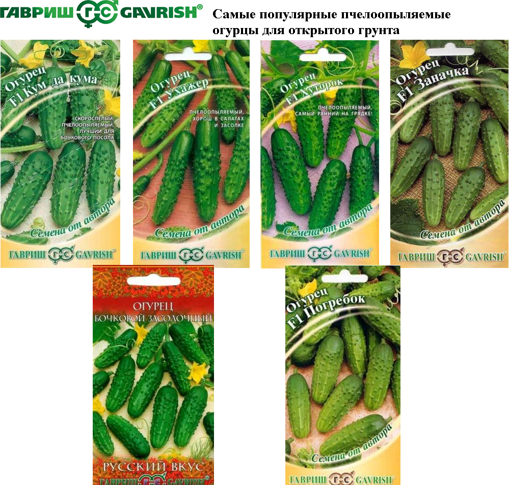 Какие сорта огурцов хорошо переносят тень?