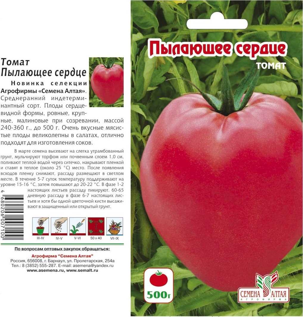 Томат “любящее сердце красное”: описание с фото, отзывы