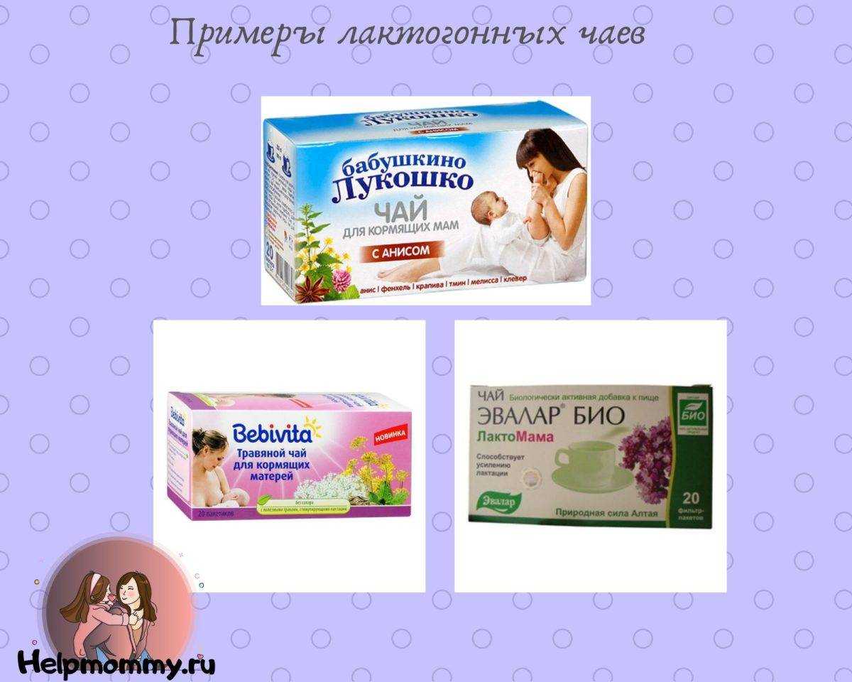 Чай из крапивы: полезные свойства листа, настоя и отвара, противопоказания для женщин и вред, когда собирать, лечебный для мужчин или нет?