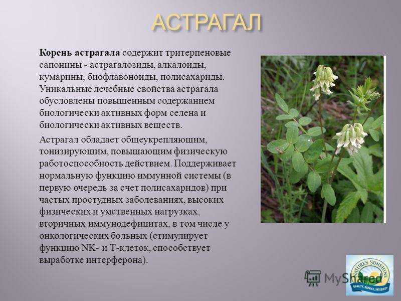 Добавки и безрецептурные препараты для печени - что они содержат? | университетская клиника