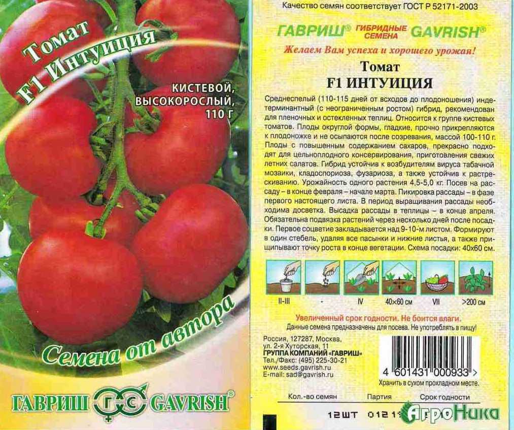 Богатый урожай при хорошем уходе — томат морозко: характеристика и описание сорта
