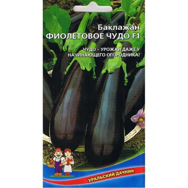 Лучшие сорта баклажанов для теплицы и открытого грунта: топ-15 самых урожайных и вкусных (без горечи)