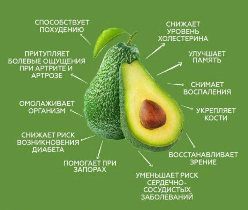 Можно ли есть косточку авокадо? да, она съедобна и очень полезна! | мамины шпаргалочки