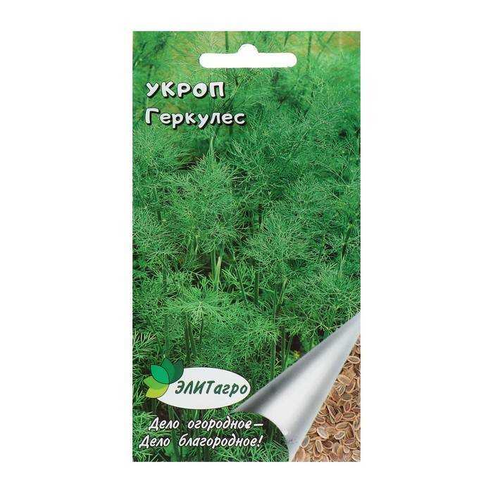 Сорта кустового укропа: аллигатор и другие
