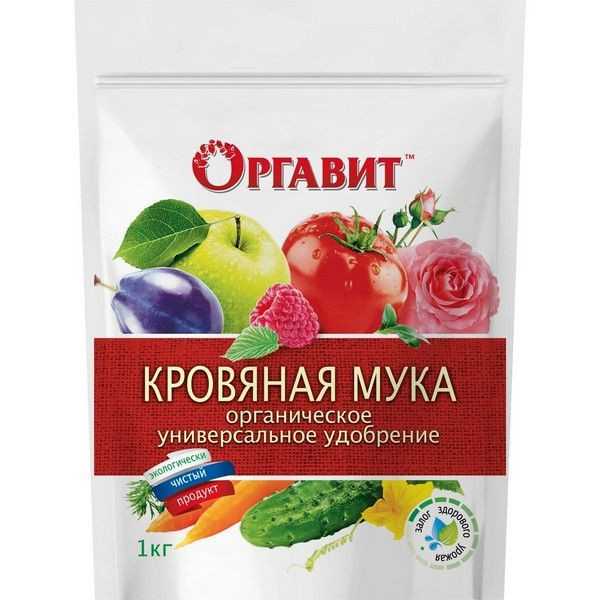 Кровяная мука: как применять удобрение