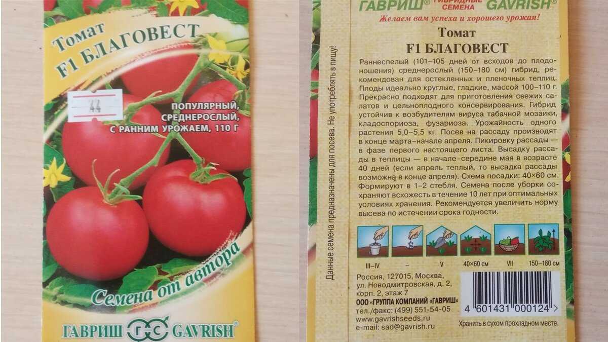 Ароматный и долгохранящийся: характеристика и описание сорта томата лежебок f1