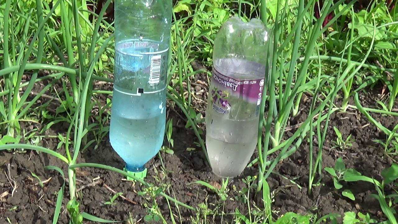 Как организовать капельный полив из пластиковых бутылок для огурцов своими руками