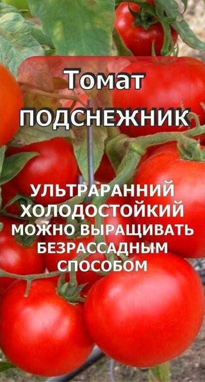 Томат подснежник — характеристика и описание сорта, фото, урожайность, отзывы, видео