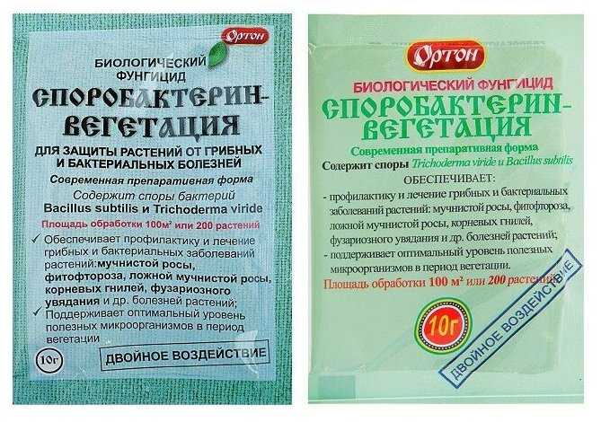 Фитоспорин порошок: инструкция по применению для рассады помидор и комнатных растений
