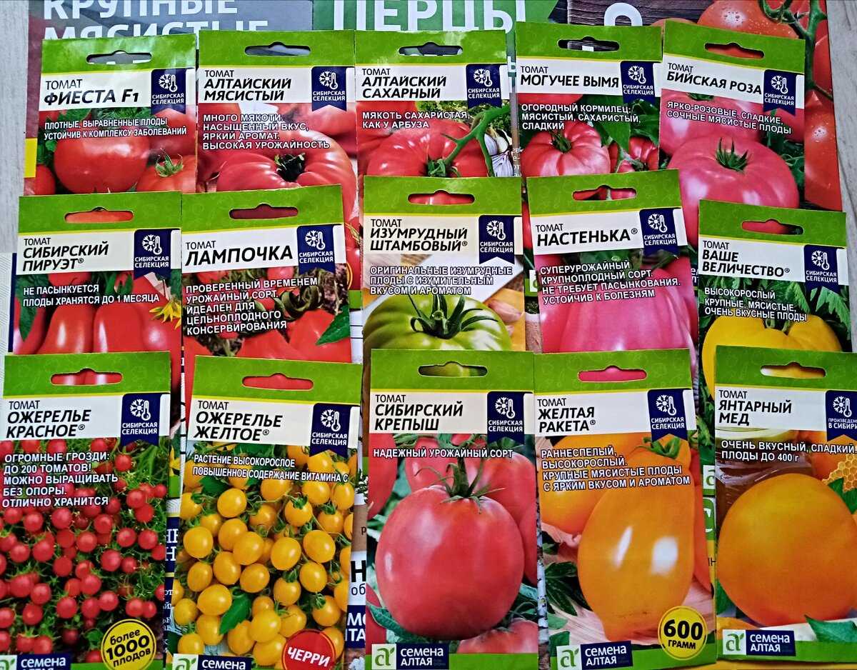 Лучшие сорта томатов для теплицы: 15 самых вкусных и урожайных, отзывы, рейтинг, как правильно выбрать помидоры для теплицы
