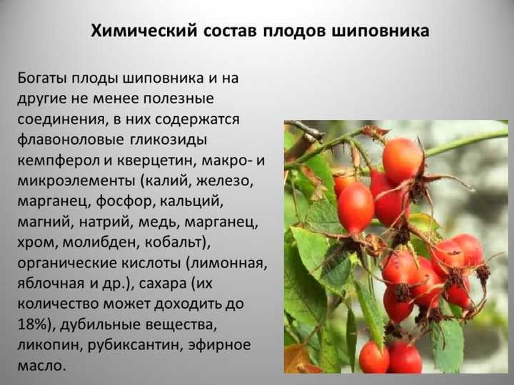 Диагностика заболеваний по языку: грибковые и бактериальные инфекции, обезвоживание, диабет и др. патологии | университетская клиника