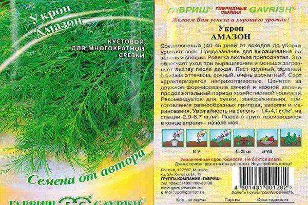 Лучшие сорта кустового укропа и их описание