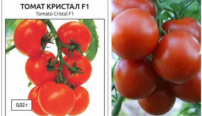 Томат виагра