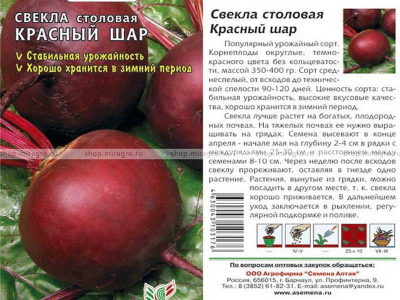 ✅ свекла столовая — свойства, технология выращивания, польза и сред, сорта, урожайность, уборка
