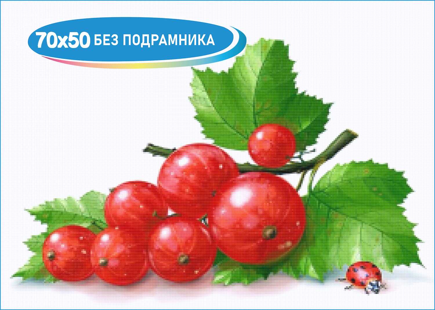 Смородина - подробный каталог лучших сортов 2023