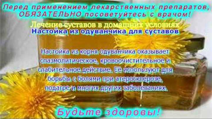 Настойка одуванчика — рецепты, от каких болезней, применение