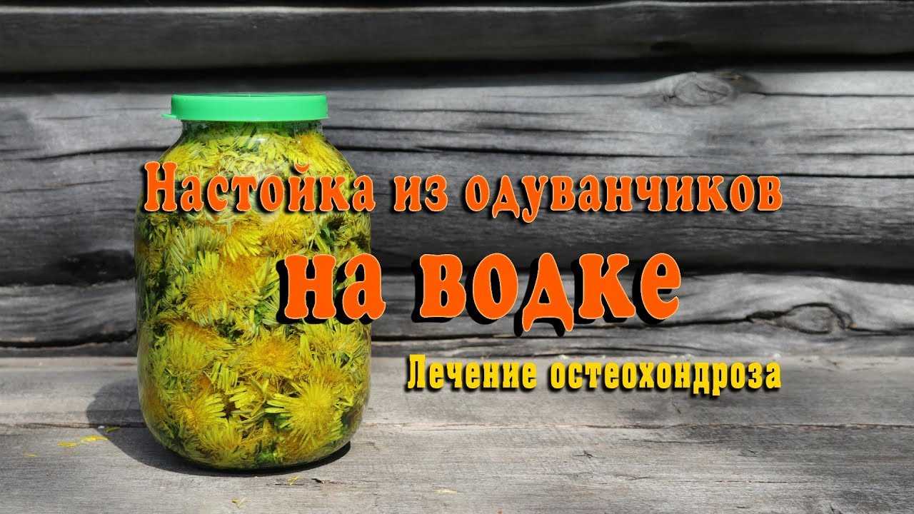 Настойка одуванчиков для суставов на спирту: полезные свойства и применение в лечении Рецепты приготовления спиртовых вытяжек одуванчика: на водке, на спирту
